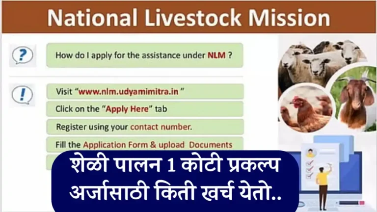nlm scheme
