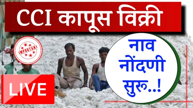 kapus hamibhav nondani