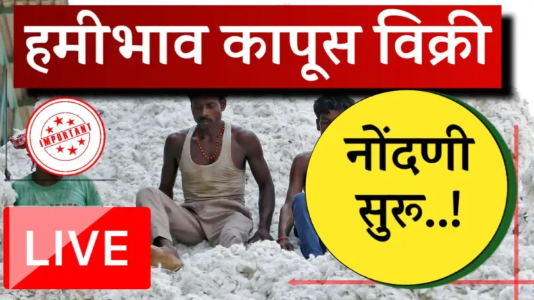 msp cotton ragistation