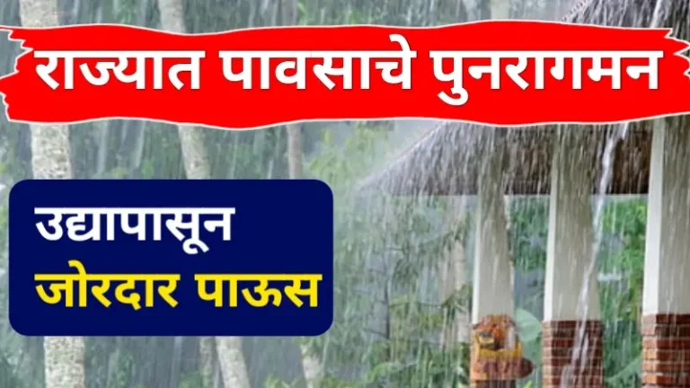 Maharashtra Rain Update