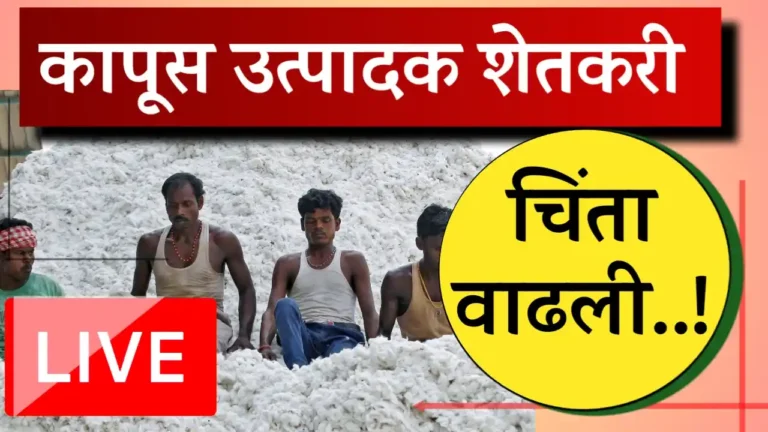 Cotton import