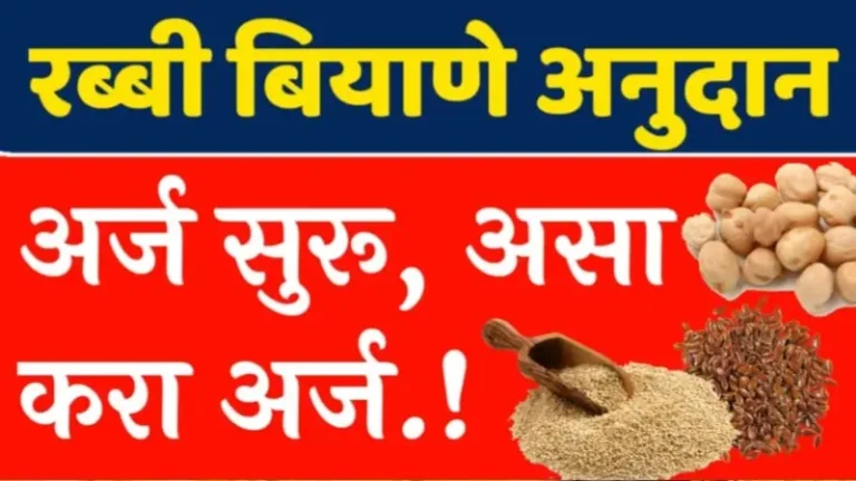 Rabi Season