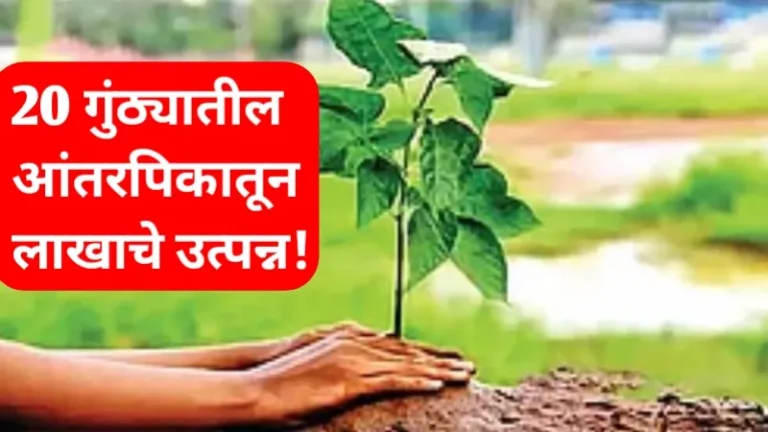 Success Story