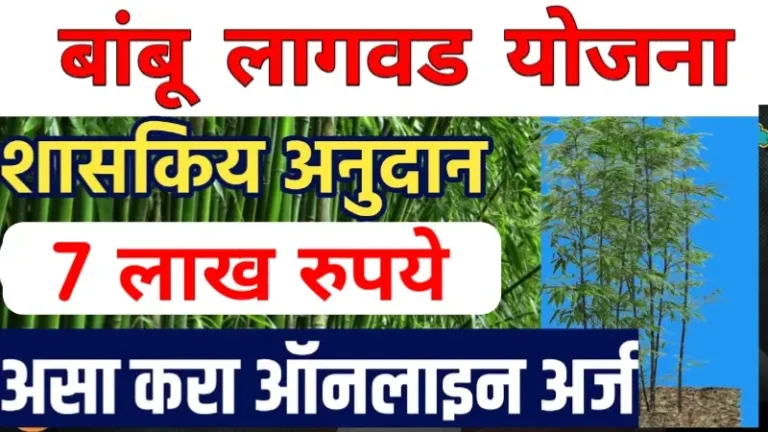 bambu lagwad
