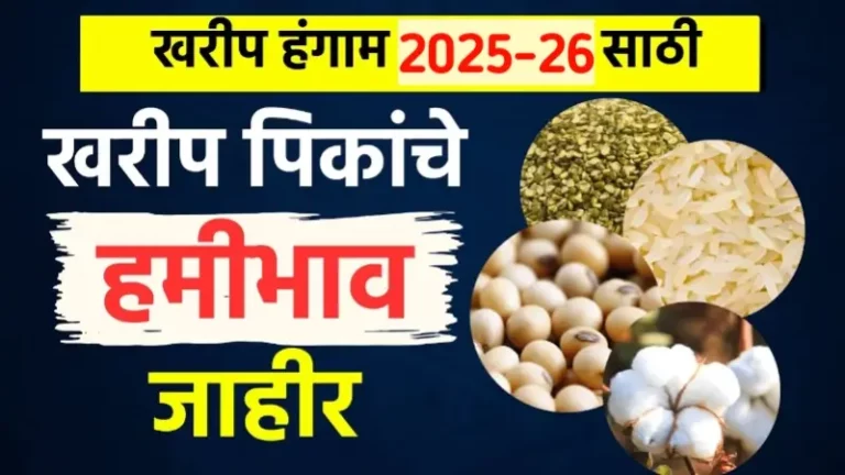 MSP Kharif Season