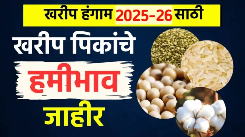 MSP Kharif Season