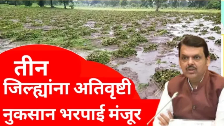 Nuksaan bharpaai