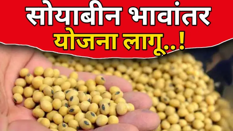 Soyabin bhavantar Yojana