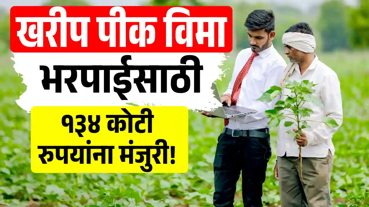 Kharip pik vima 2020 