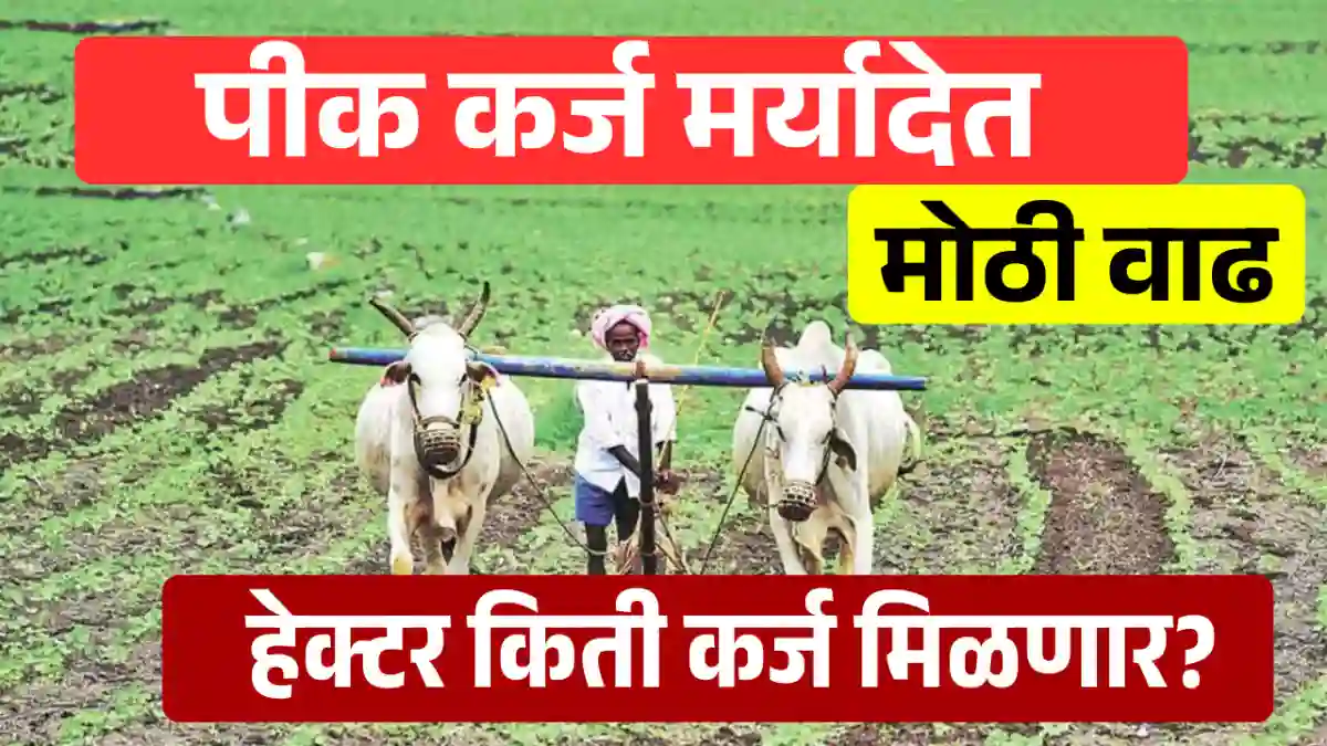 crop loan