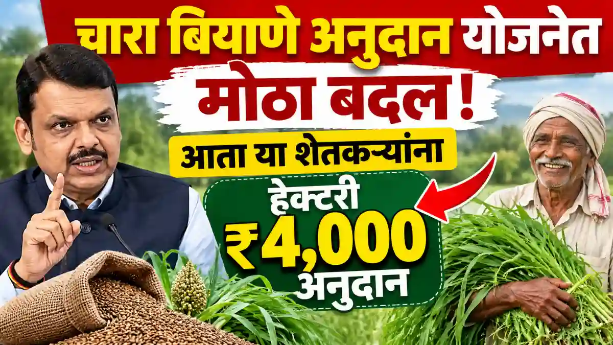 Fodder Seed Scheme 2026